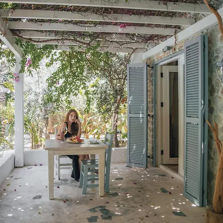 Ξενοδοχείο Flamingo & - Pet Friendly 3*