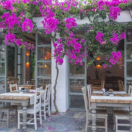 Ξενοδοχείο Flamingo & - Pet Friendly