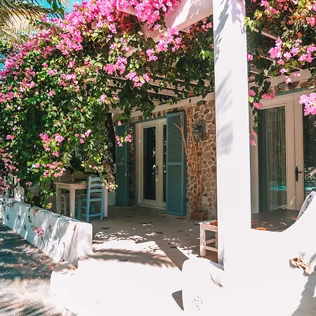 Flamingo & - Pet Friendly