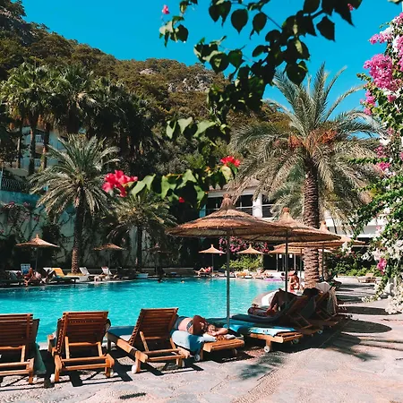 Flamingo & - Pet Friendly Ξενοδοχείο