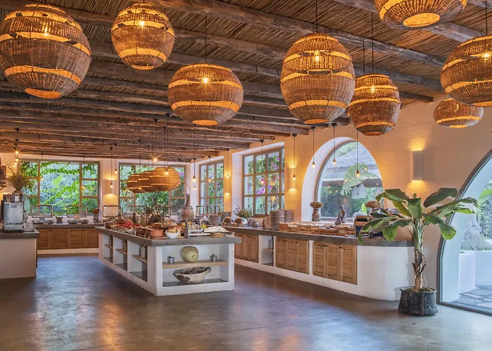 Flamingo & - Pet Friendly