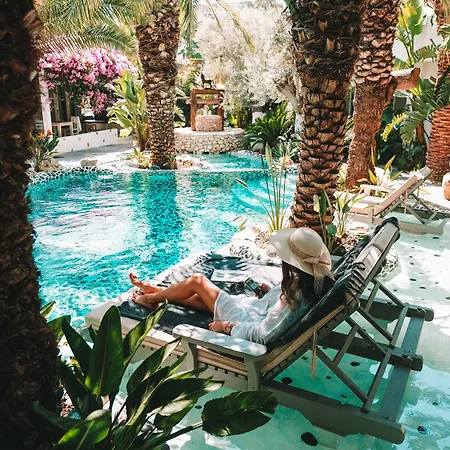 מלון Flamingo & - Pet Friendly 3*