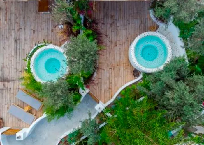 Hotel Flamingo & - Pet Friendly