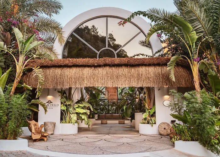 Flamingo & - Pet Friendly Hotel Oludeniz