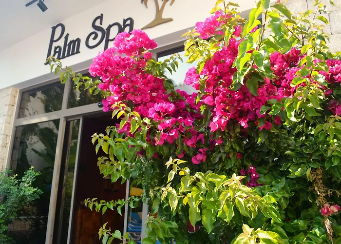 Hotel Flamingo & - Pet Friendly