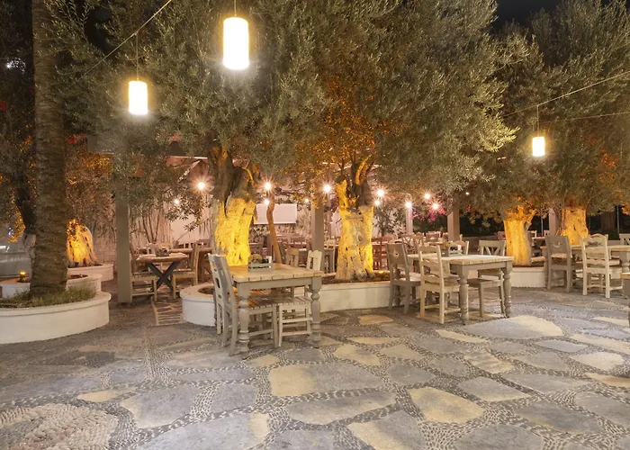 Flamingo & - Pet Friendly 3* Oludeniz