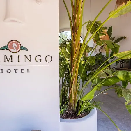 Flamingo & - Pet Friendly Hotel