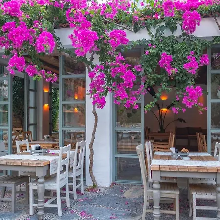Flamingo & - Pet Friendly 3*