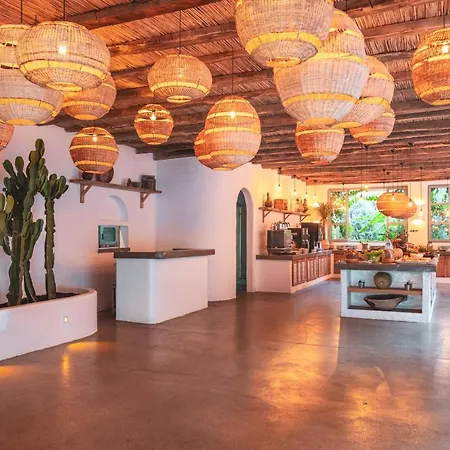 Flamingo & - Pet Friendly