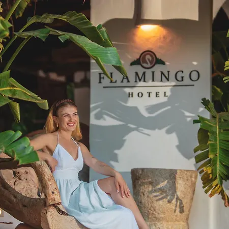Flamingo & - Pet Friendly