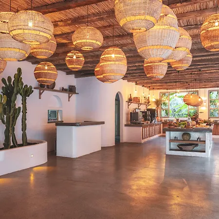 Otel Flamingo & - Pet Friendly