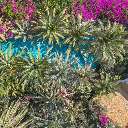 فلامينجو هوتل آند سبا - يسمح باصطحاب الحيوانات الأليفة فندق