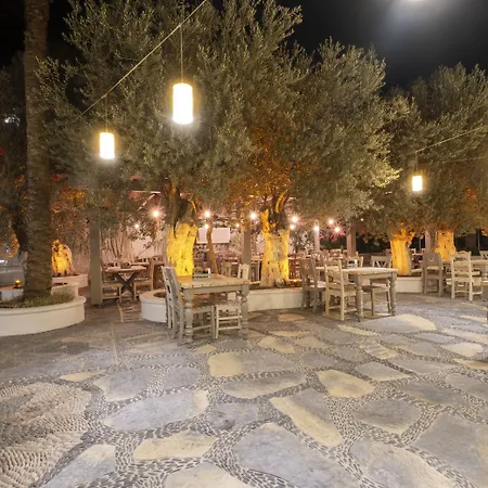 Flamingo & - Pet Friendly 3* Oludeniz