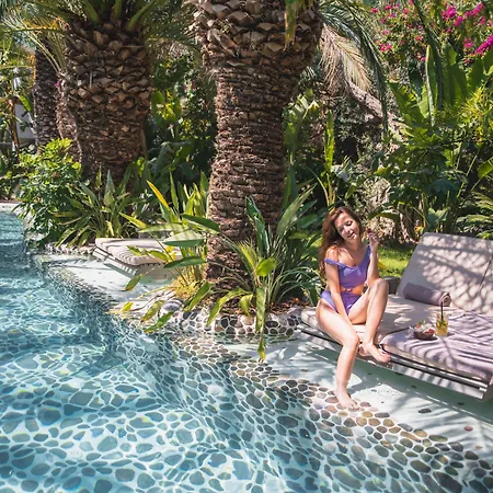 Flamingo & - Pet Friendly Otel Ölüdeniz