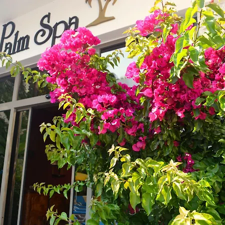 فلامينجو هوتل آند سبا - يسمح باصطحاب الحيوانات الأليفة 3*