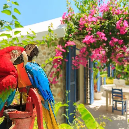 Hotel Flamingo & - Pet Friendly 3*