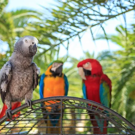 Hotel Flamingo & - Pet Friendly