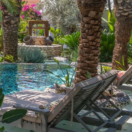 Flamingo & - Pet Friendly Hotel Ölüdeniz