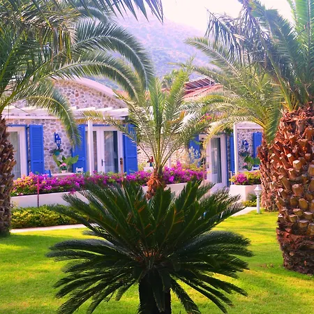 Flamingo & - Pet Friendly 3* Oludeniz