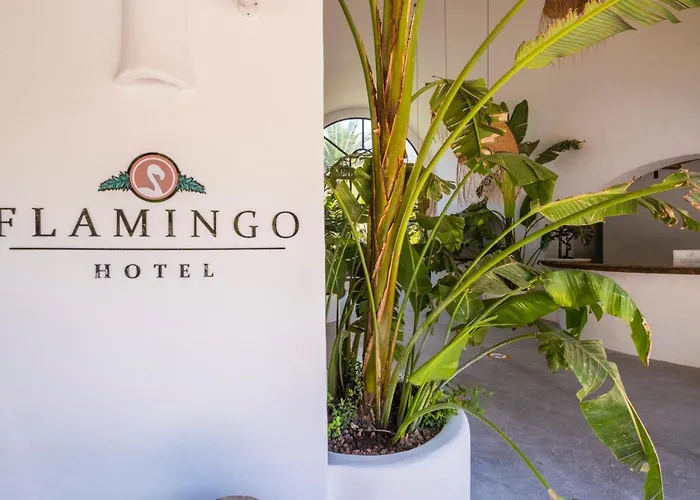Flamingo Hotel&spa - Pet Friendly Hotell