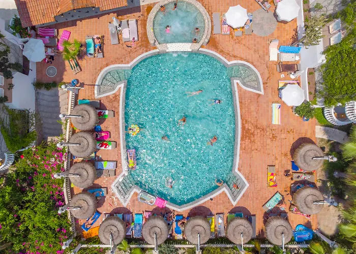 Flamingo Hotel&spa - Pet Friendly 3*