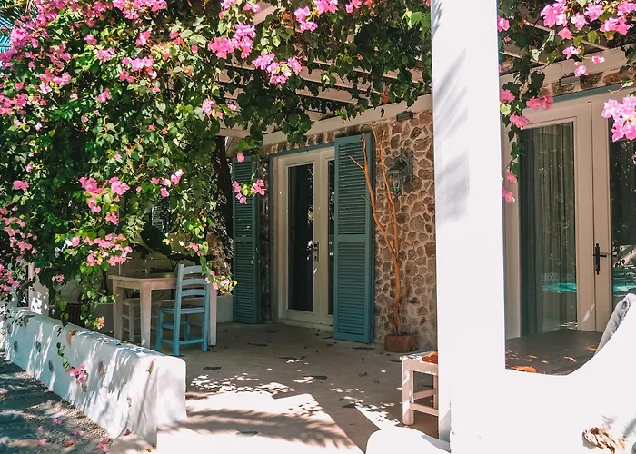 Flamingo Hotel&spa - Pet Friendly