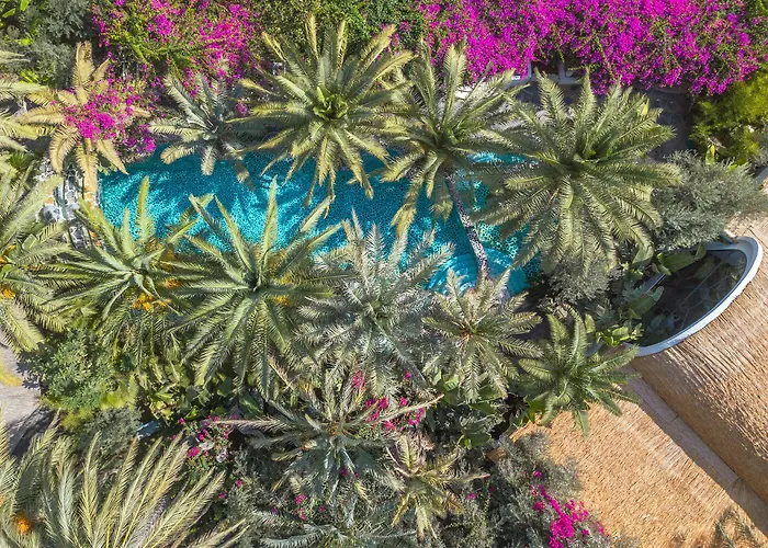 Flamingo Hotel&spa - Pet Friendly Hotel