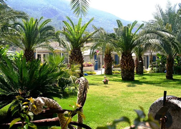 Hotel Flamingo Hotel&spa - Pet Friendly Ölüdeniz