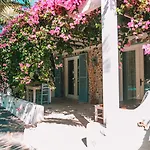 Flamingo & - Pet Friendly