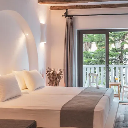 Flamingo Hotel&spa - Pet Friendly Hotel Ölüdeniz