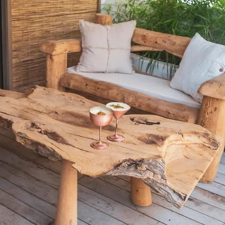 火烈鸟spa酒店 - 可携带宠物入住 酒店 厄吕代尼兹