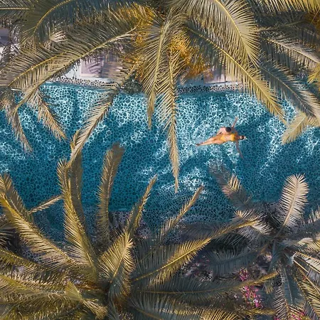 火烈鸟spa酒店 - 可携带宠物入住 3*