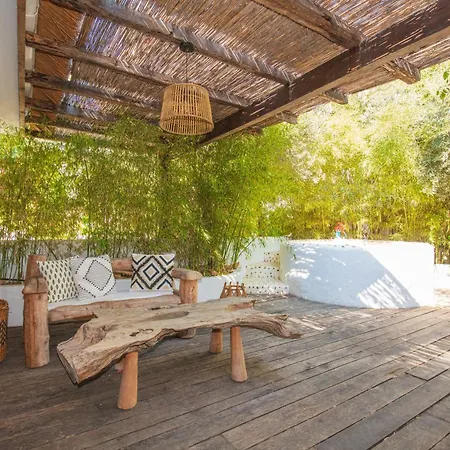 火烈鸟spa酒店 - 可携带宠物入住