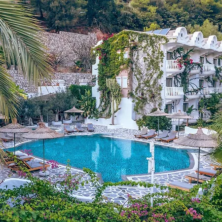 火烈鸟spa酒店 - 可携带宠物入住