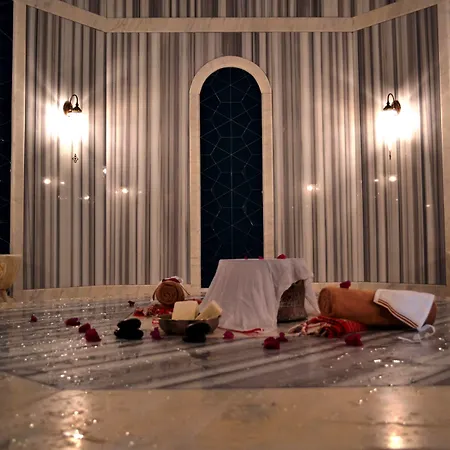 ホテル Flamingo & - Pet Friendly オルデニズ