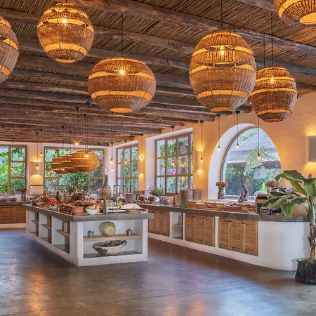 Flamingo & - Pet Friendly