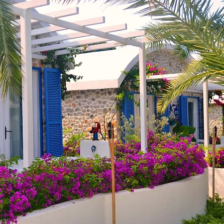 Flamingo & - Pet Friendly ホテル 3*