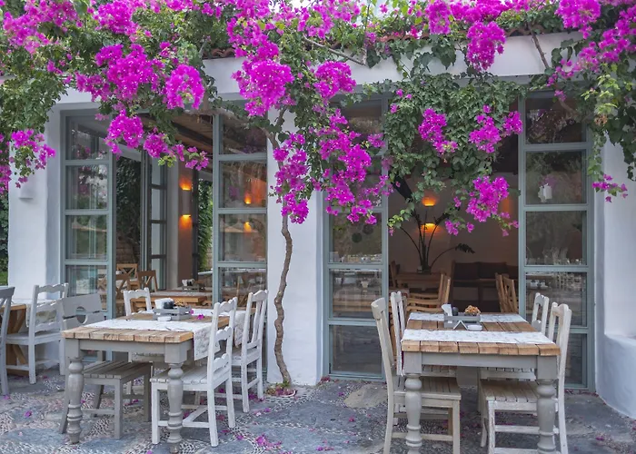 Отель Flamingo & - Pet Friendly