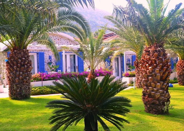 Flamingo & - Pet Friendly 3* Олудениз